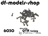 DF Models 6030 | Kreuzschlitzschrauben Rundkopf