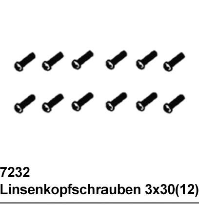 DF Models 7232 | Linsenkopfschrauben 3x30 (12)