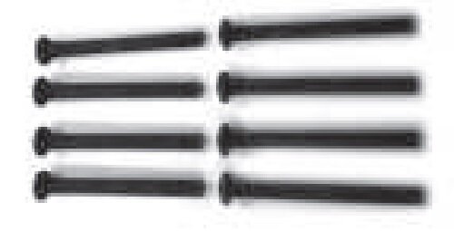 Linsenkopfschrauben 3x30TM D5,5 (8)