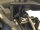 DF Models 3152 DF-4S Pro Crawler BROWN