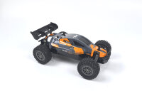 Rookie Fighter Buggy - RTR