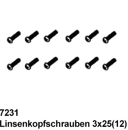 Linsenkopfschrauben 3x25 (12)
