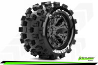 Louise RC - MT-MCROSS - 1-10 Monster Truck --Inhalt: 2...