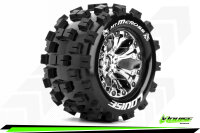 Louise RC - MT-MCROSS - 1-10 Monster Truck --Inhalt: 2...