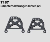 Dämpferhalterung hinten (2)