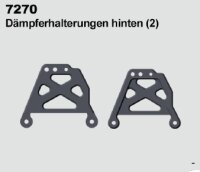 Dämpferhalterungen hinten (2)