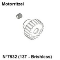 Motorritzel 13 Zähne