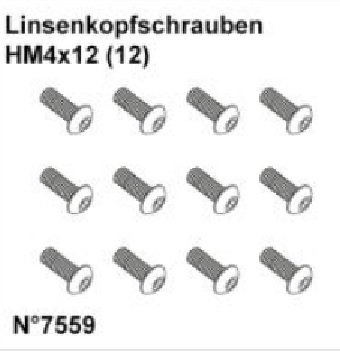 Linsenkopfschrauben HM4x12 (12)