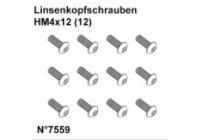 Linsenkopfschrauben HM4x12 (12)