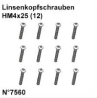 Linsenkopfschrauben HM4x25 (12)