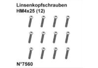 Linsenkopfschrauben HM4x25 (12)