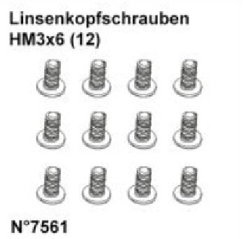 DF Models 7561 | Linsenkopfschrauben HM3x6 (12)