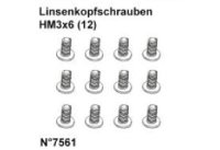 DF Models 7561 | Linsenkopfschrauben HM3x6 (12)