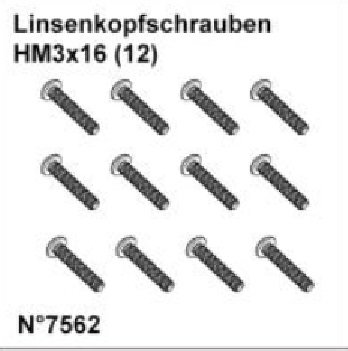 Linsenkopfschrauben HM3x16 (12)