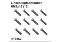 DF Models 7562 | Linsenkopfschrauben HM3x16 (12)