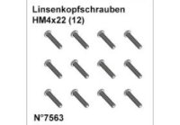 Linsenkopfschrauben HM4x22 (12)