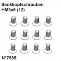 Senkkopfschrauben HM3x6 (12)