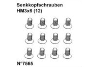 Senkkopfschrauben HM3x6 (12)