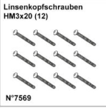 DF Models 7569 | Linsenkopfschrauben HM3x20 (12)