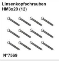 Linsenkopfschrauben HM3x20 (12)