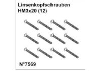 Linsenkopfschrauben HM3x20 (12)