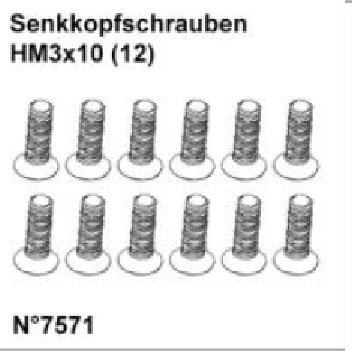 Senkkopfschrauben HM3x10 (12)