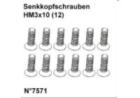 Senkkopfschrauben HM3x10 (12)