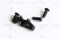Senkkopfschrauben M2.5x6 (8) zu 3120/3122