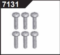 7131 | Linsenkopfschrauben M3x8 (6)